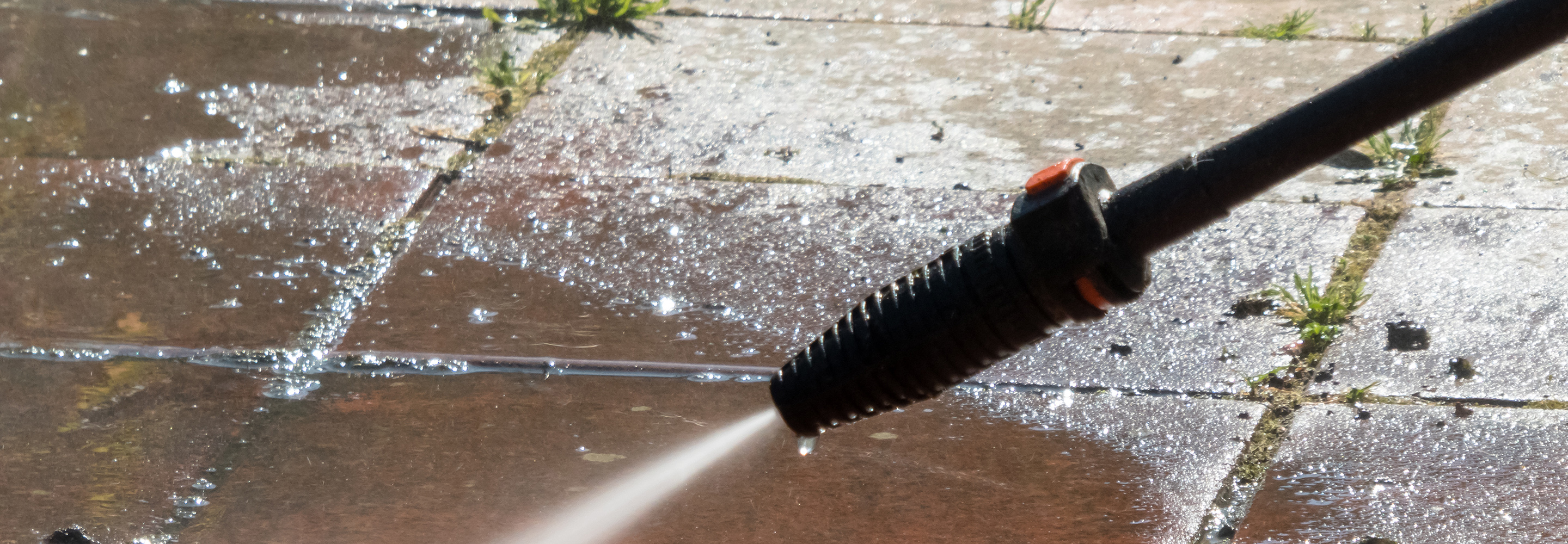 carpet cleaning service Cornwall